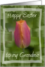 Happy Easter to My Grandma - Pink Tulip Flower card