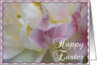 Happy Easter - Fancy Pink and White Tulip card