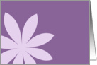 Blank Note Card - Purple Daisy Flower card