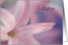 Be My Bridesmaid Sister Pink Hyacinth Flower card