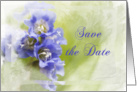 Save the Date - Little Purple Flowers card