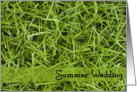 Summer Wedding Save the Date Announcement Green Grass card