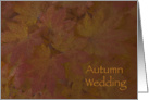 Autumn Wedding Save the Date Announcement Colored Maple Leaves card