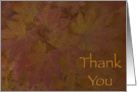 Thank You Colored Maple Leaves card