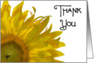 Thank You Note Yellow Sunflower card