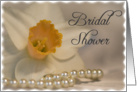 Bridal Shower Invitation White Daffodil and Pearls card
