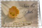 Wedding Save the Date Announcement White Daffodil and Pearls card