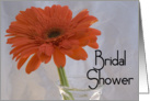 Bridal Shower Invitation Orange Gerbera Daisy card