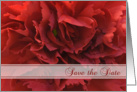 Wedding Save the Date Announcement Red Floral card
