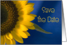 Wedding Save the Date Sunflower on Blue card
