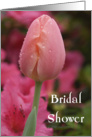 Bridal Shower Invitation Pink Tulip card