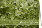 Bridal Shower Invitation Annabelle Hydrangea Green card