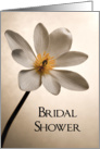 Elegant White Wildflower Bridal Shower Invitation card