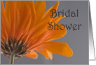 Orange Daisy Bridal Shower Invitation card
