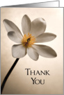 Elegant White Wildflower Thank You Note card