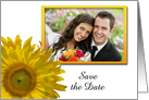 Wedding Save the Date Photo Card, Yellow Sunflower card