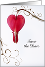 Wedding Save the Date Announcement Red Bleeding Hearts card