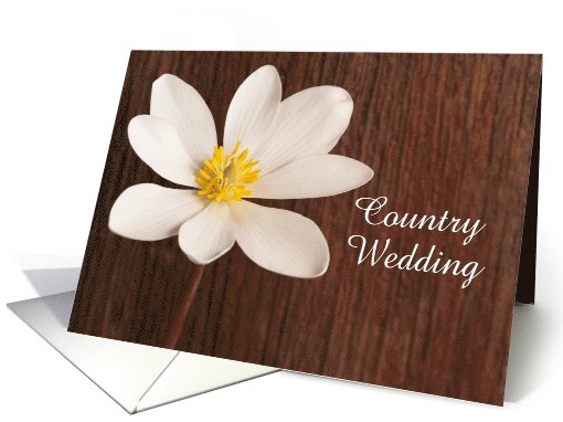 Country Wedding Save the Date, Rustic Wildflower, Custom... (1008487)