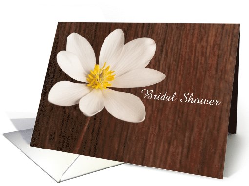 Bridal Shower Invitation,Rustic White Wildflower,Custom... (1009129)