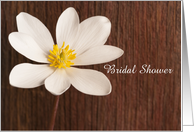 Bridal Shower Invitation,Rustic White Wildflower,Custom Personalize card