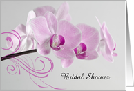 Bridal Shower Invitation,Pink Orchids on White,Custom Personalize card