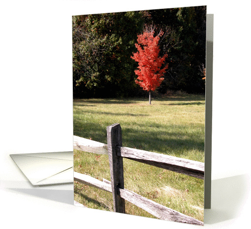 Thank You - Gratitude - Red Autumn Tree card (130897)