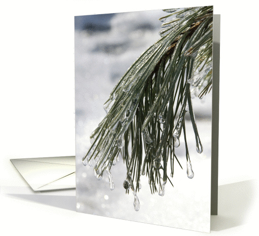 Winter Solstice - Icy Pine Needles card (132642)