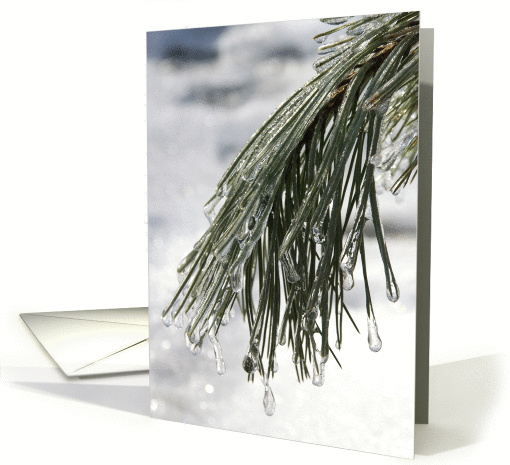 Spring is Coming - Icy Pine Needles card (135047)