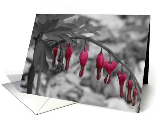 I love you-Red Bleeding Hearts Flowers card (137845)