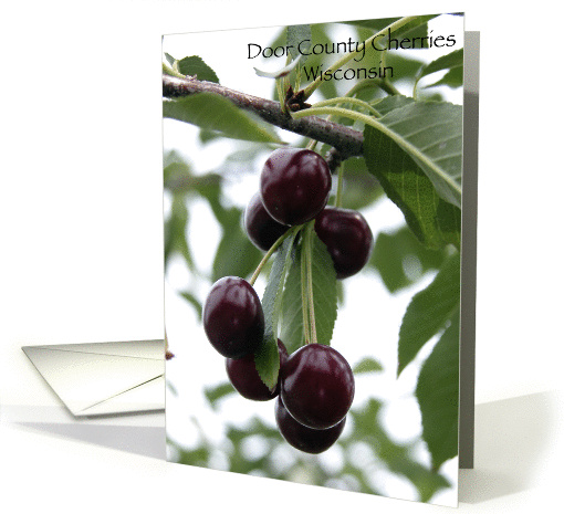 Door County, Wisconsin - Cherries - Blank Note card (143603)