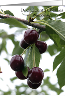 Door County, Wisconsin - Cherries - Blank Note Cards