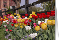 Happy Easter to Step Sister - Colorful Tulip Garden card