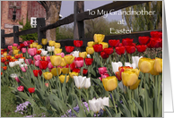 Happy Easter to Grandmother - Colorful Tulip Garden card