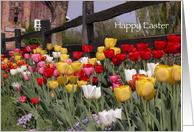 Happy Easter - Verse - Tulip Garden card