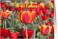 Happy Easter To My Fiancee - Red and Yellow Tulip Garden card