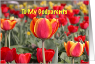 Happy Easter To My Godparents - Red and Yellow Tulip Garden card