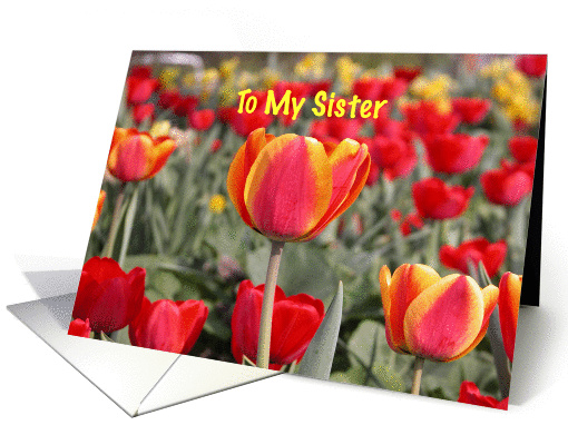 Happy Easter To My Sister - Red and Yellow Tulip Garden card (150413)