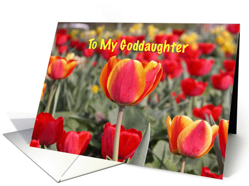 Happy Easter To my Goddaughter - Red and Yellow Tulip Garden card