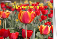 Happy Easter To my Goddaughter - Red and Yellow Tulip Garden card