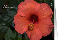 Hawaii-Red Hibiscus Flower card