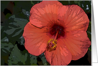 Blank Note Card-Red Hibiscus Flower card