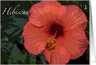 Blank Note Card - Red Hibiscus Flower card