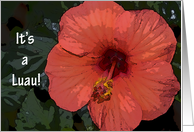 Luau Invitation - Red Hibiscus Flower card