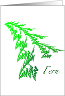 Happy Spring - Green Fern Frond card