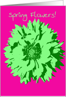 Happy Spring - Green Pop Art Flower on Pink card