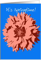 Happy Spring - Pop Art Flower on Blue card