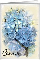 Brunch Invitation - Blue Hydrangea card