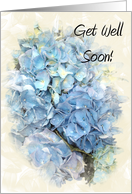 Get Well Soon - Blue Hydrangea Flower card