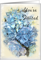 Garden Party Invitation - Blue Hydrangea card