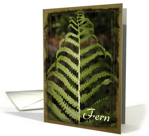 Green Fern Frond - Blank Note card (191209)
